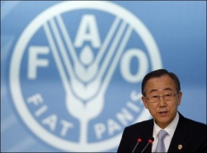 Les recommandations de la FAO face à la flambée des prix