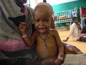 L'Algérie expédie une aide humanitaire de 10 millions de $ aux pays de la corne de l'Afrique