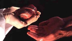 Trafic d'organes humains de l’Algérie vers le Maroc