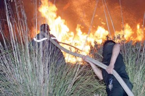Le centre et l'est du pays écrasés par la chaleur et les incendies
