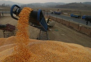 7e Salon international : Présentation des politiques agricoles algérienne et marocaine 