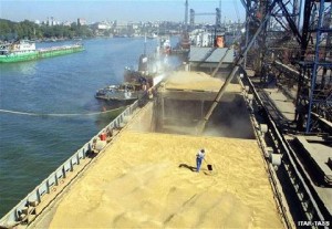 L’OAIC achète 450 000 tonnes de blé pour rassurer le marché