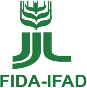 Algérie-FidA : Un accord de coopération bientôt finalisé