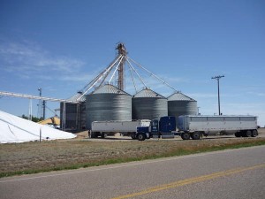 Céréales : L'OAIC va réaliser une quarantaine de silos de stockage