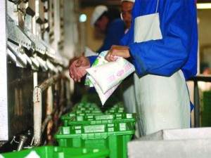 Blida : Installation d’un bureau algéro-français pour le développement de la filière lait
