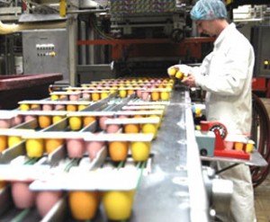 Industrie : Poursuite de la tendance haussière des prix à la production