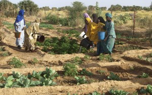 Les 5+5 se concertent à Alger pour faire face aux défis de la sécurité alimentaire