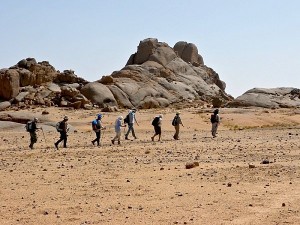 Arak (Tamanrasset): 262 personnes secourues par les unités de l'ANP