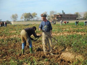 Conseil interministériel pour aider les agriculteurs touchés par les dernières intempéries