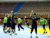 Tournoi pré-olympique de handball 2012 : les "Verts" à l’épreuve du test polonais