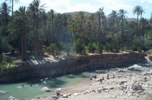 Flottement et indécisions de l'APC de Khenchela