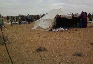 Sahara occidental : le SOS de Human Right Watch 
