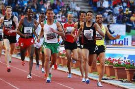 Réunion de Monaco : L'Algérien Taoufik Makhloufi 5e sur 1500 m