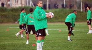  CAN-2013 : 14 joueurs locaux convoqués pour un stage du 1 au 4 octobre à Alger 