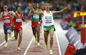 Athlétisme/1500m : Taoufik Makhloufi bénéficiera des meilleures conditions pour progresser 