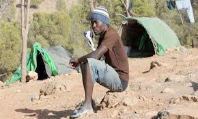 Maroc : Expulsion de 266 clandestins vers l'Algérie