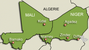 Force africaine au Mali: Bamako et Niamey regrettent un recul de l'ONU