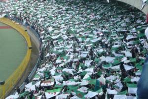 CAN-2013 - Supporters algériens en Afrique du Sud : Mobilis et TCA dévoilent leurs offres, pas Air Algérie et la FAF
