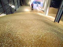 Céréales : Vers la réalisation de silos de stockage de 8,2 millions de quintaux