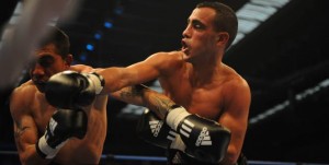 World Series of Boxing (5è journée): Algérie-Argentine (2-2): les "Faucons du désert" privés d'une victoire évidente 