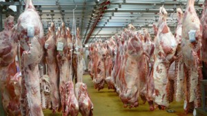 Viandes: Trois grands complexes d'abattage et de froid seront réceptionnés en avril 2014