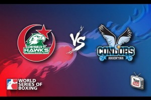 World Series Boxing (dernière journée) Argentine-Algérie (5-0): les "Faucons du désert" humiliés par les "Condors" d'Argentine