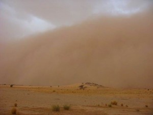 Alerte météo : Du vent à plus de 70km/h sur plusieurs wilayas du Sud 