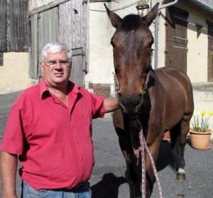 Un exportateur français de chevaux contaminés vers l'Algérie condamné 