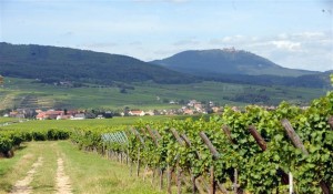 Ruée sur les terres agricoles: l'Europe de l'Est également touchée