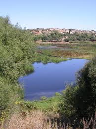 Tissemsilt : Noyade mortelle de deux enfants dans une mare d'eau 
