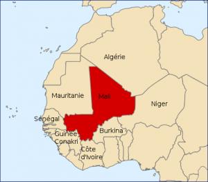 Les pays du champ déterminés à poursuivre la lutte contre le terrorisme et le crime transnational au Sahel