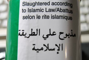 Les entreprises algériennes invitées à participer au 2ème salon international du Halal au Maroc