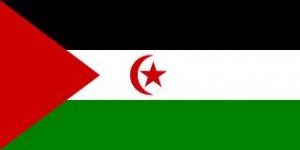 Sahara Occidental : "Total est l'un des plus grands obstacles à la résolution du conflit" 