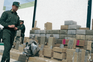 Plus de 127 tonnes de résine de cannabis saisies en Algérie en huit mois selon l'ONLDT