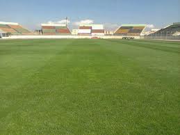 Algérie-Burkina Faso : "La pelouse du stade Tchaker sera en parfait état mardi" 