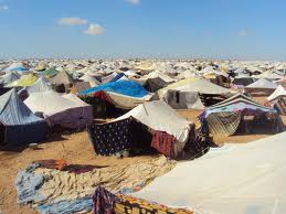 Sahara Occidental : L'Algérie et les Etats-Unis convergent sur les droits de l'Homme