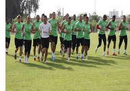 Coupe du monde 2014 (Algérie) : le camp de base des Verts devrait être près de Sao Paulo 