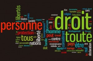 Enquête sur les droits de l’homme : l’Algérie sous le feu des ONG