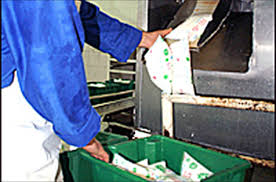 Perturbations dans la distribution du lait : Les laiteries défaillantes menacées de fermeture 