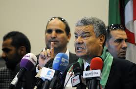 Saadani : Chaque parti soutenant Bouteflika doit mener sa propre campagne