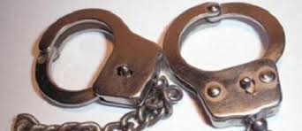 Alger : Arrestation d'un criminel qui découpait ses victimes et les brûlait