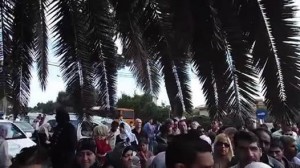 La communauté syrienne vote en masse à l'ambassade syrienne à Alger (vidéo) 