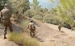 Deux terroristes abattus et des armes récupérées à Tipasa
