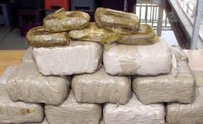 L'ANP saisit plus de 3.000 kg de kif aux frontières Ouest