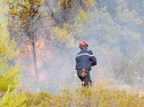 Algérie : Plus de 15.000 hectares de couvert végétal détruits par les feux