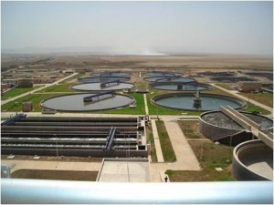 La fissuration des bacs de la station d’épuration d’El Kerma à Oran provoque des odeurs nauséabondes