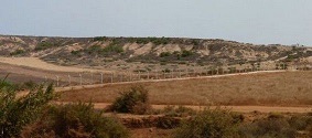 Le Maroc aurait annexé un territoire algérien 