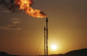 Des experts discutent de la chute des prix du pétrole et de la nécessité d’une riposte des pouvoirs publics