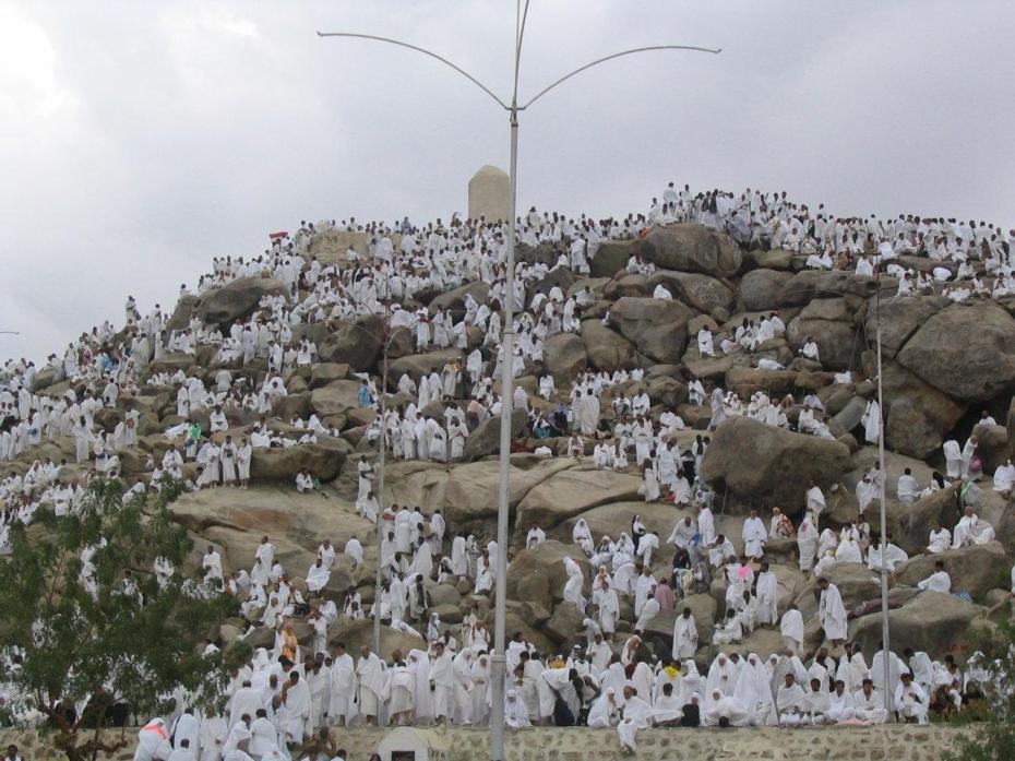 Hadj 2014 : Des centaines de milliers de pèlerins en prière sur le Mont Arafat 