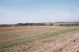 Près de 4.000 hectares de terres agricoles déclassées en zones industrielles